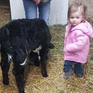 Meet your Posher, Derick